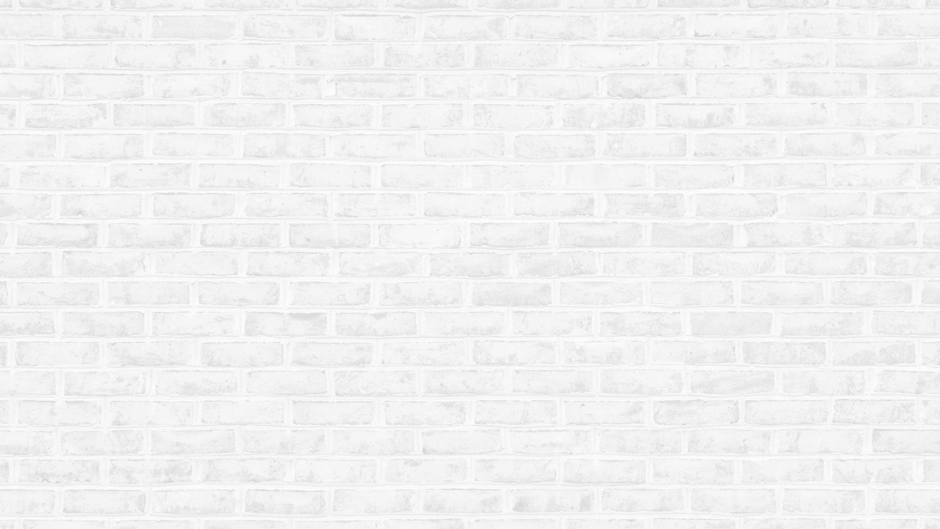 services offered background